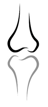 Logo di Dr Salvatore Ratano