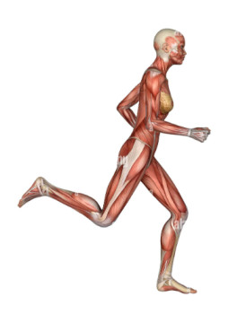 Foto di Anna Roveglia