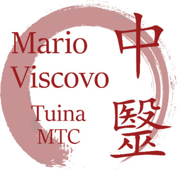 Foto di Mario Viscovo