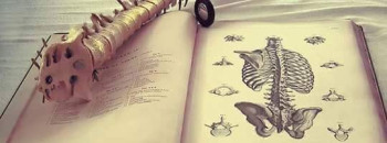 Logo di Diego Fabbrini