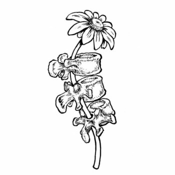 Logo di Mauro Licciardi