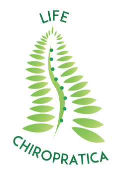 Logo di LIFE CHIROPRATICA SRLS