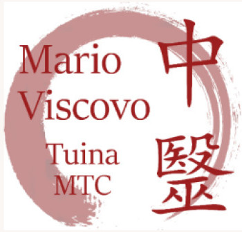 Logo di Mario Viscovo