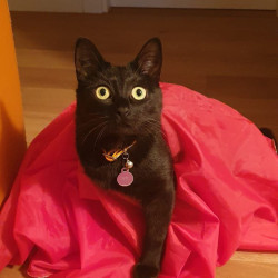 Foto di Gerarda Melissano