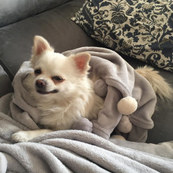 Foto di Gianmassimo Viglienghi