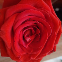 Foto di Annalisa Circio