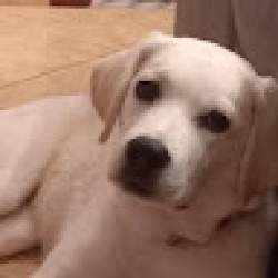 Foto di Tiziana Fonnesu