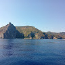 Foto di manuela trobia