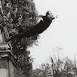 Foto di Emiliano Di Gregorio