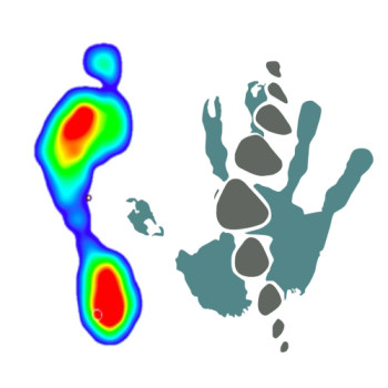 Foto di Matteo Orsolini